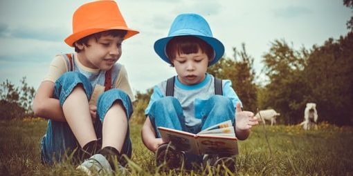 Two young boys reading in a field